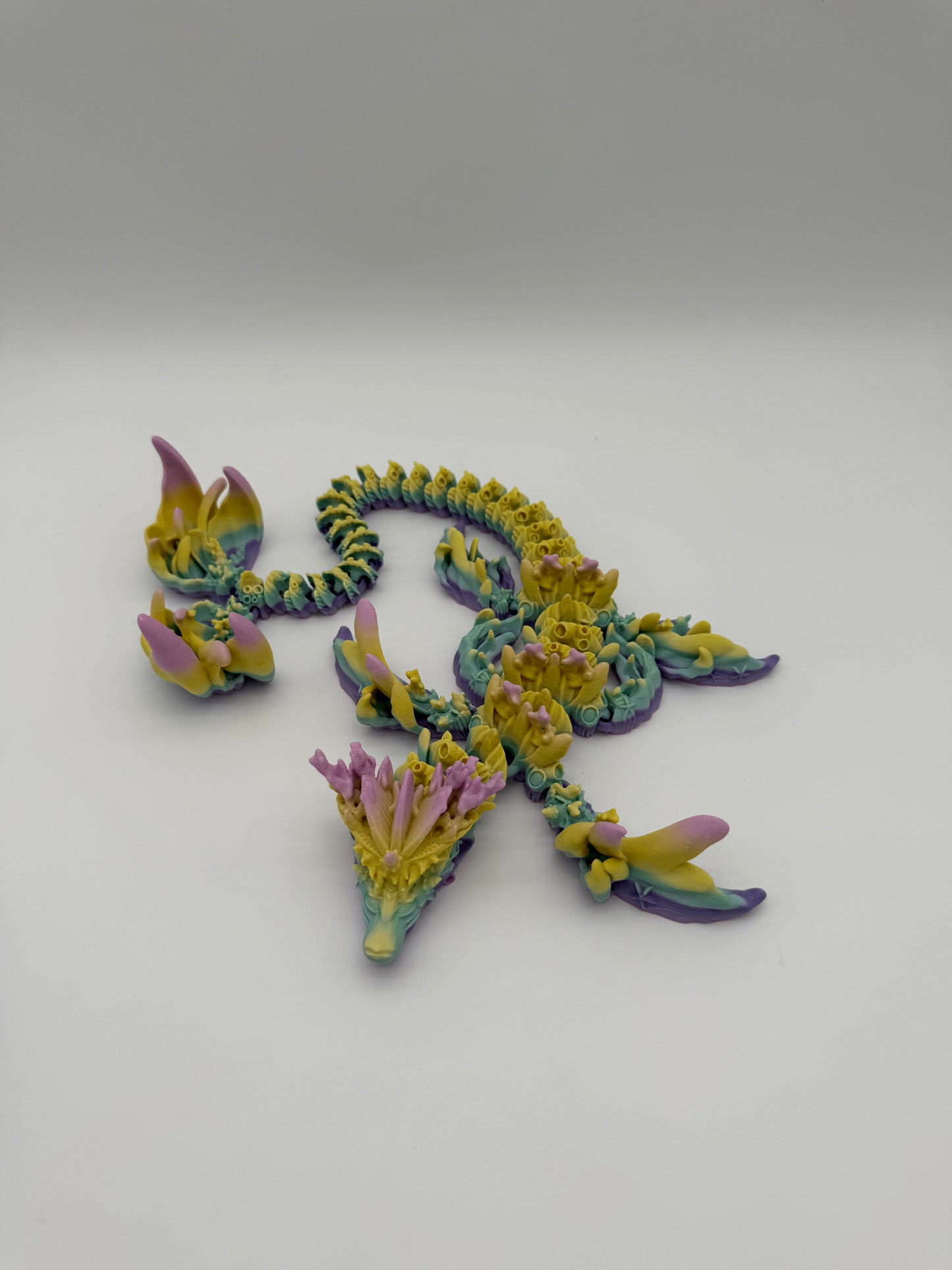 Coral Dragon