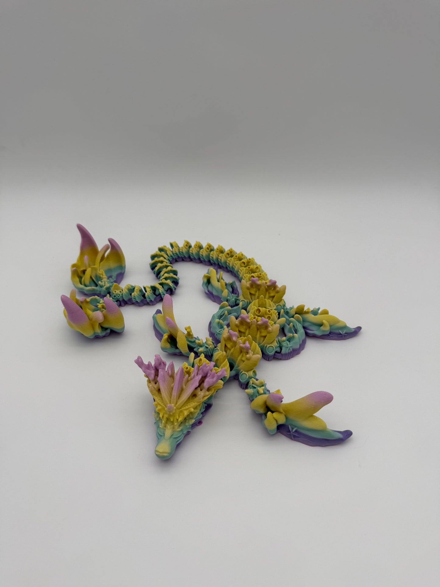 Coral Dragon