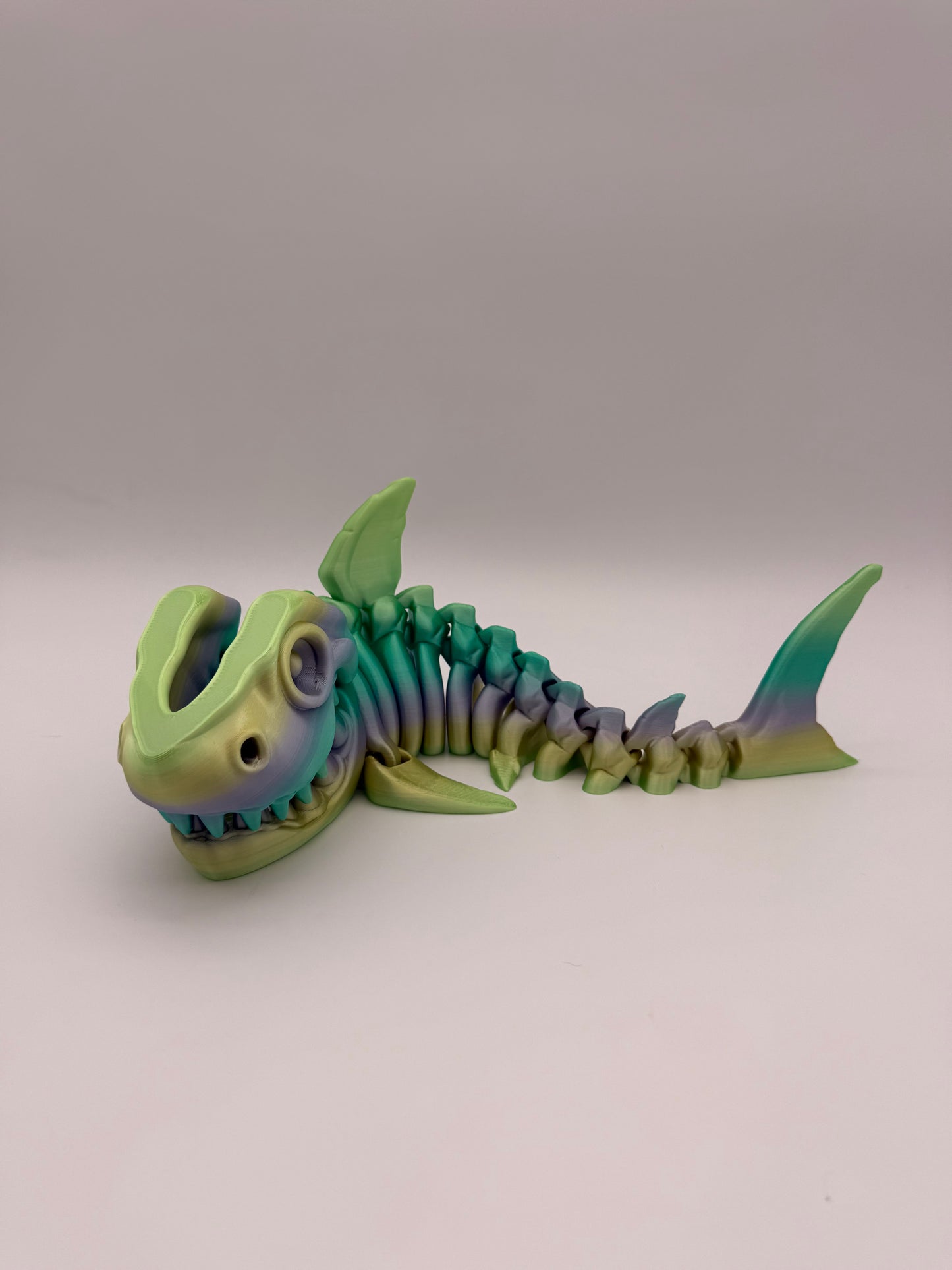 Skeleton shark