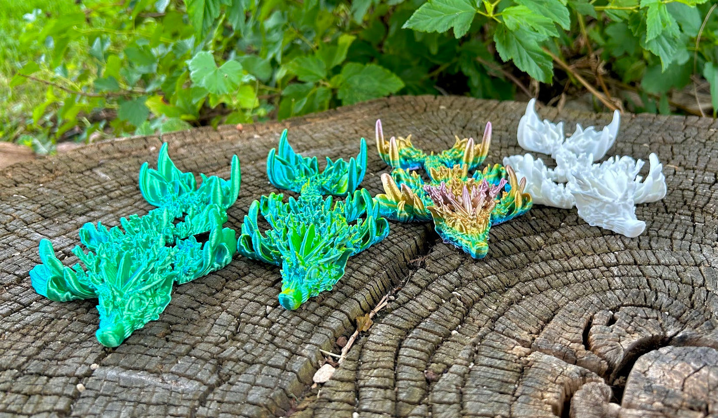 Coral Reef Dragon