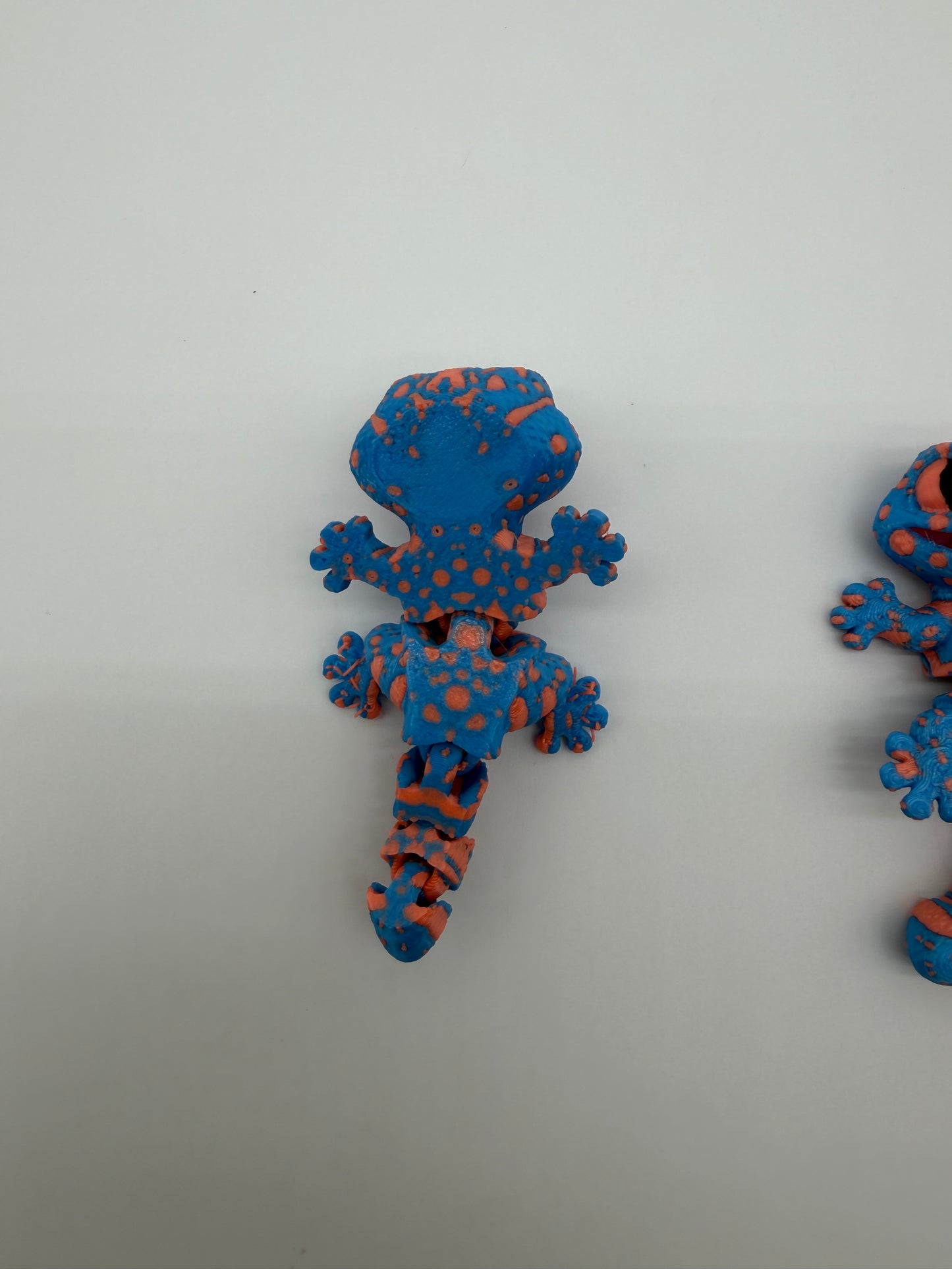 Multi Color Gecko