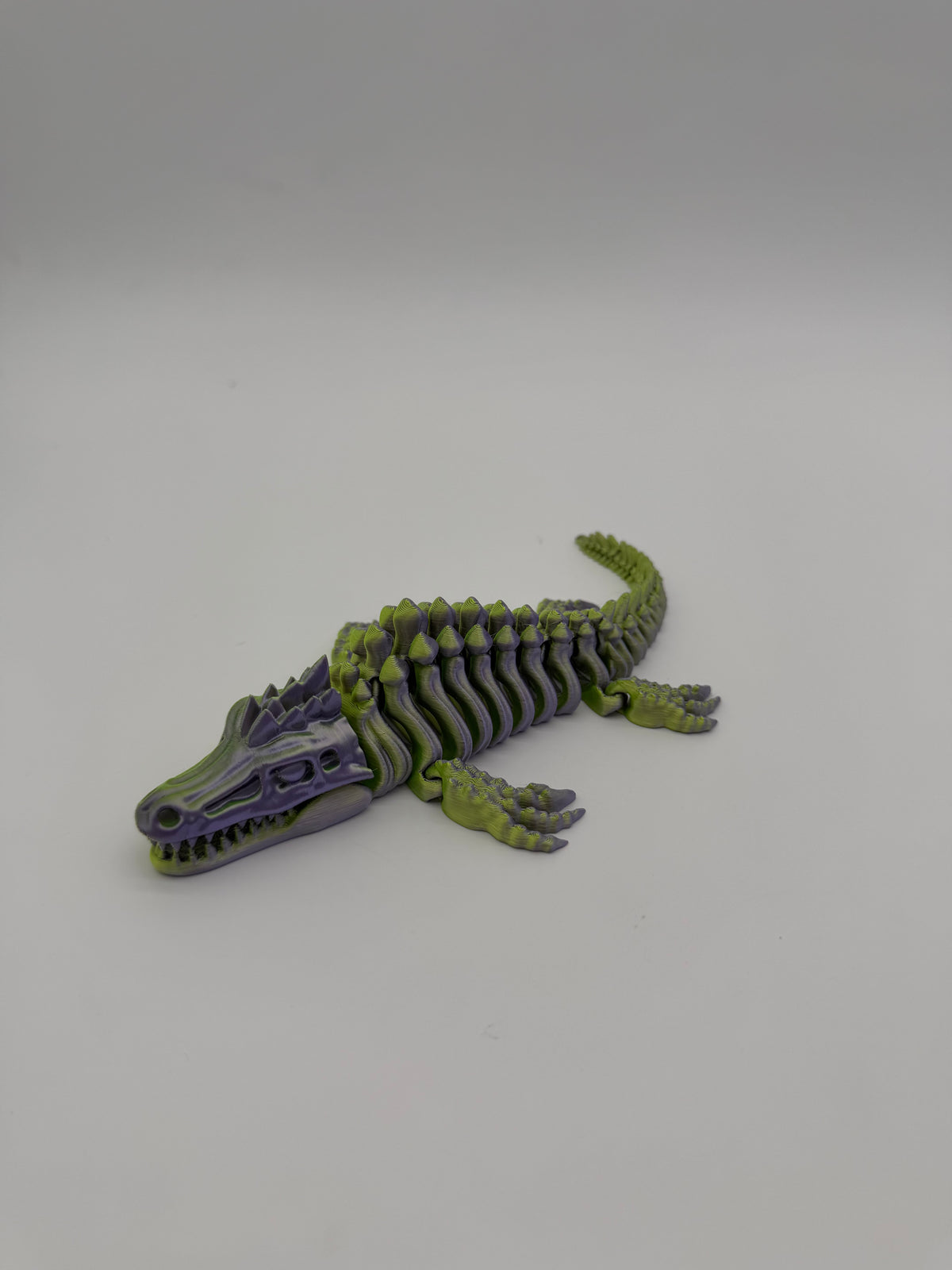 Skeletal Mosasaurus